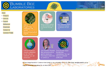 Tablet Screenshot of bumblebee.com.sg